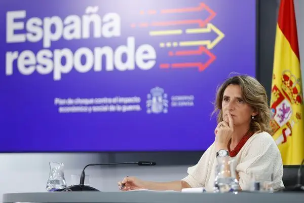 Foto de la  vicepresidenta tercera y ministra para la Transici&oacute;n Ecol&oacute;gica, Teresa Ribera