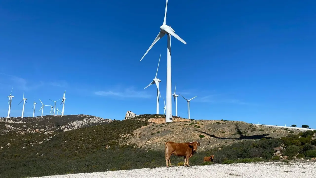 Endesa sostenibilidad