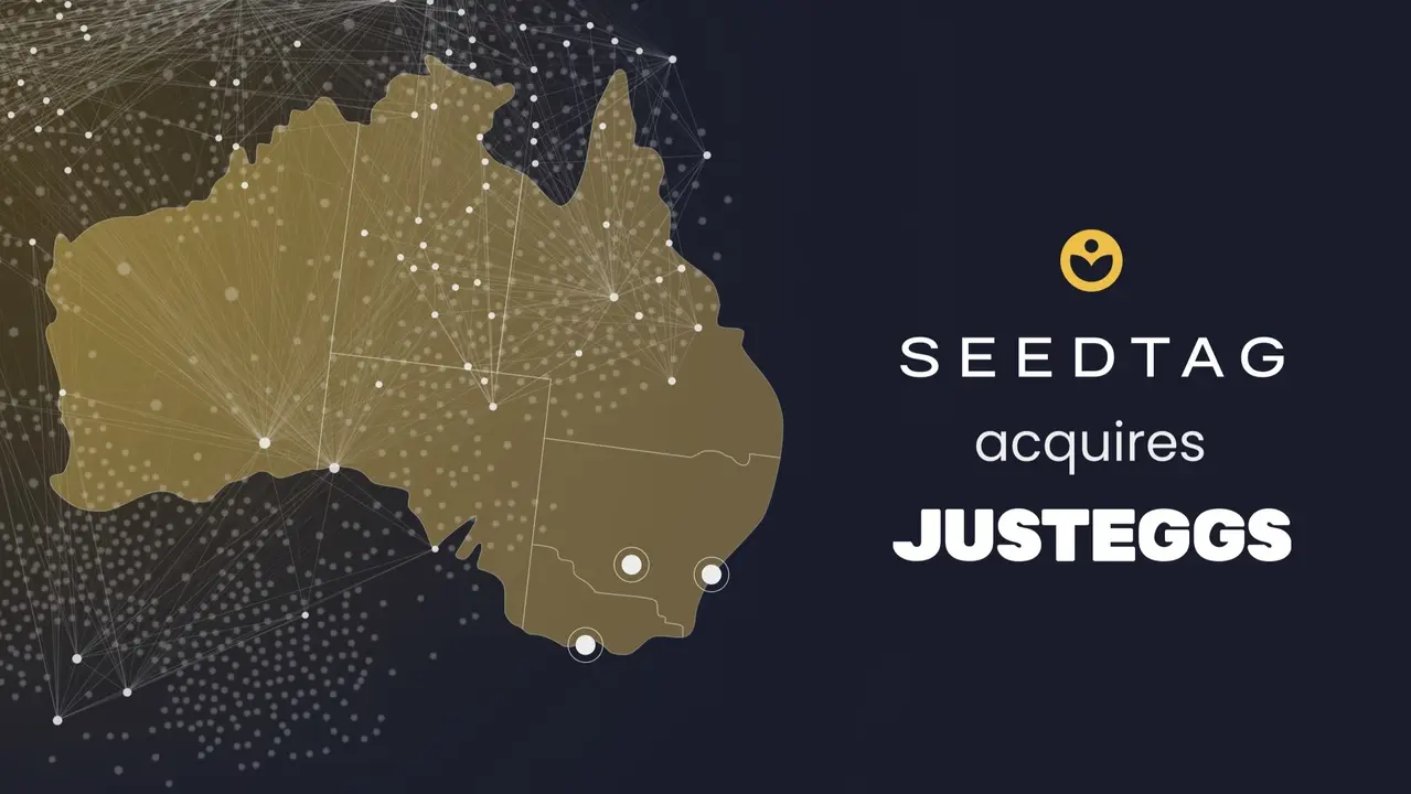 seedtag justeggs