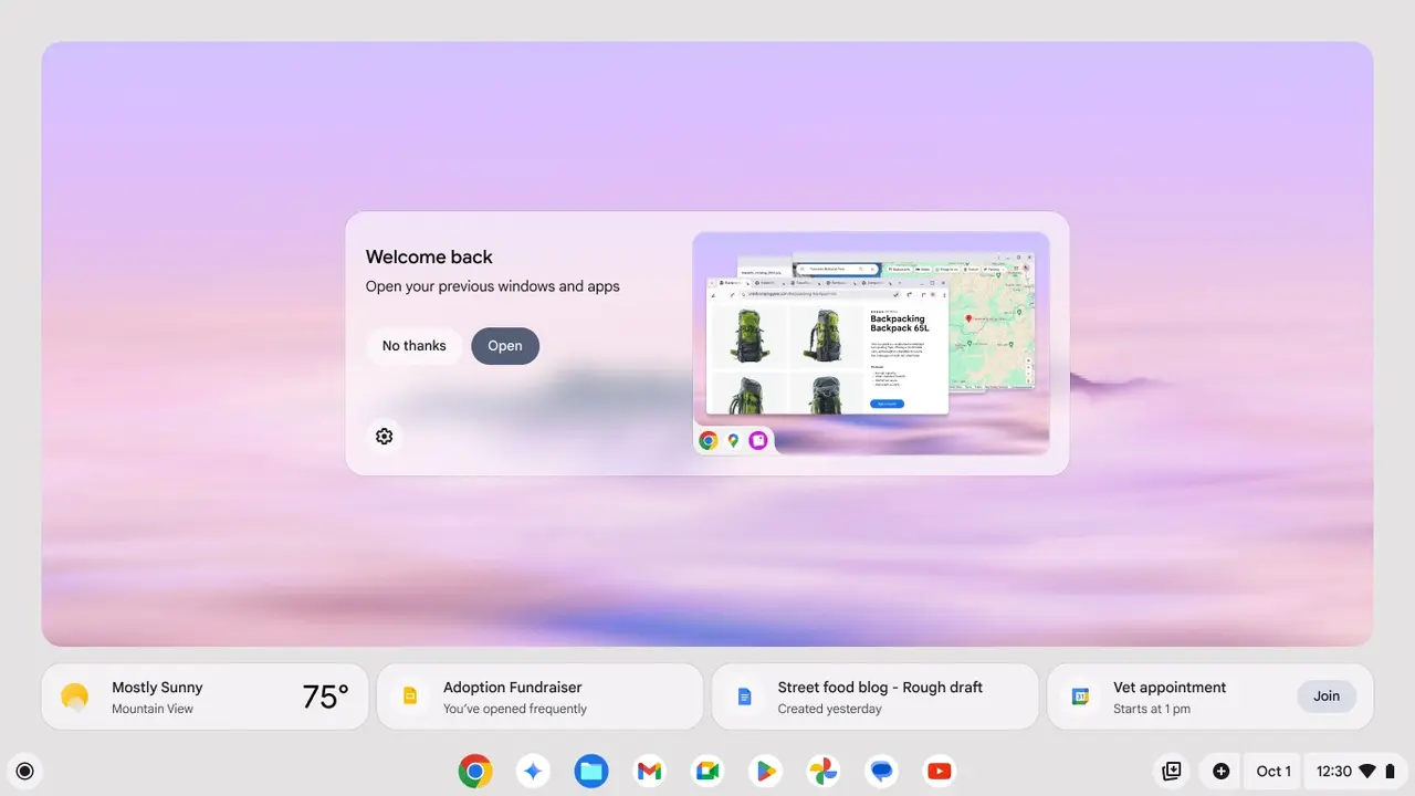 google chrombook