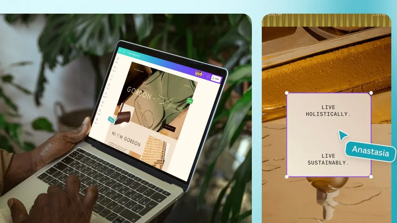Canva nov 2024