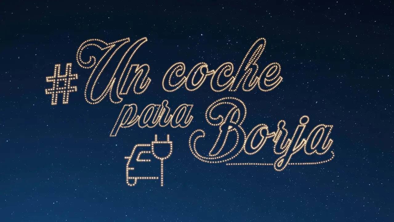 coche para borja