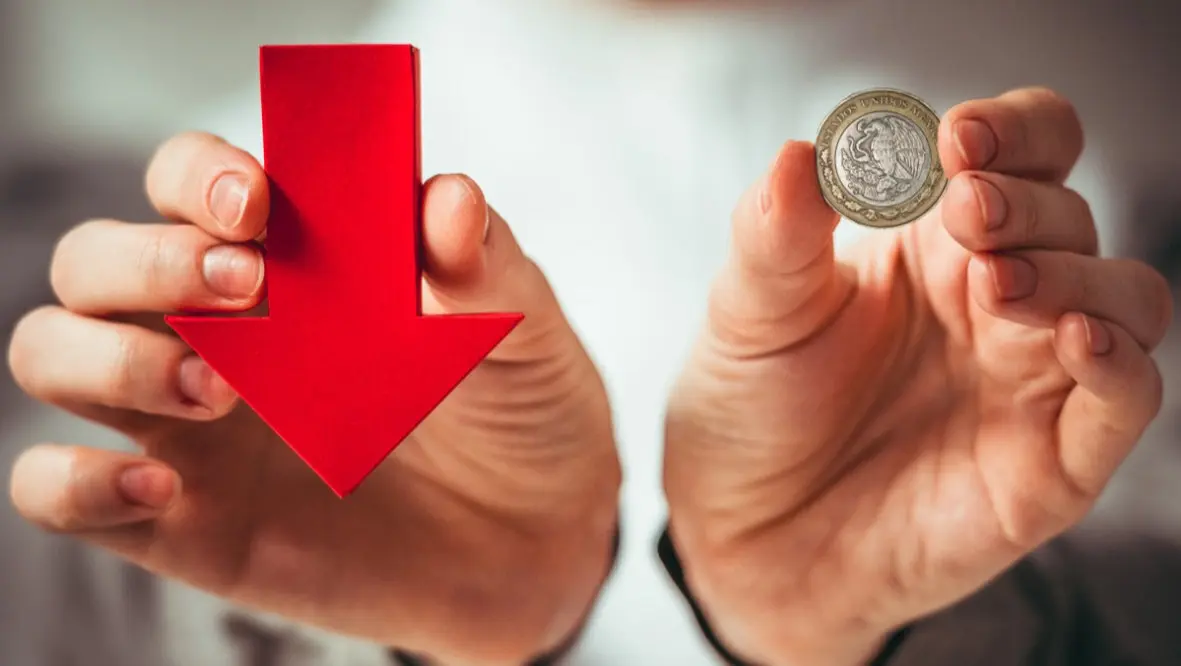 inversi&oacute;n decrece 2024