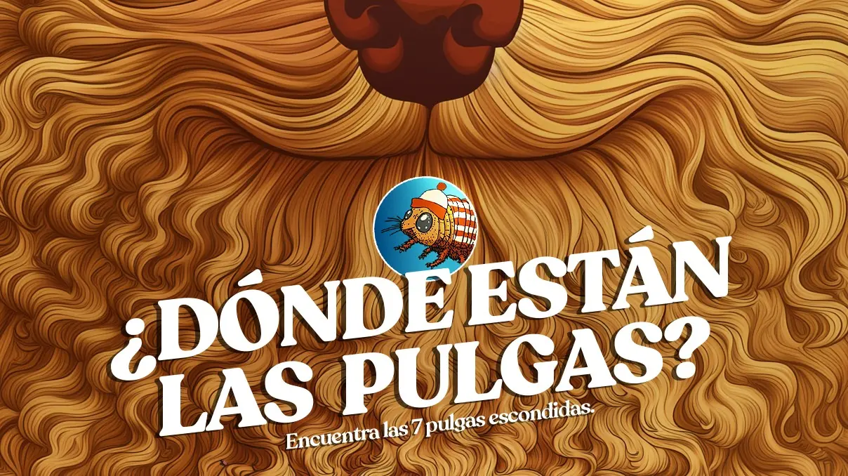 pulgas