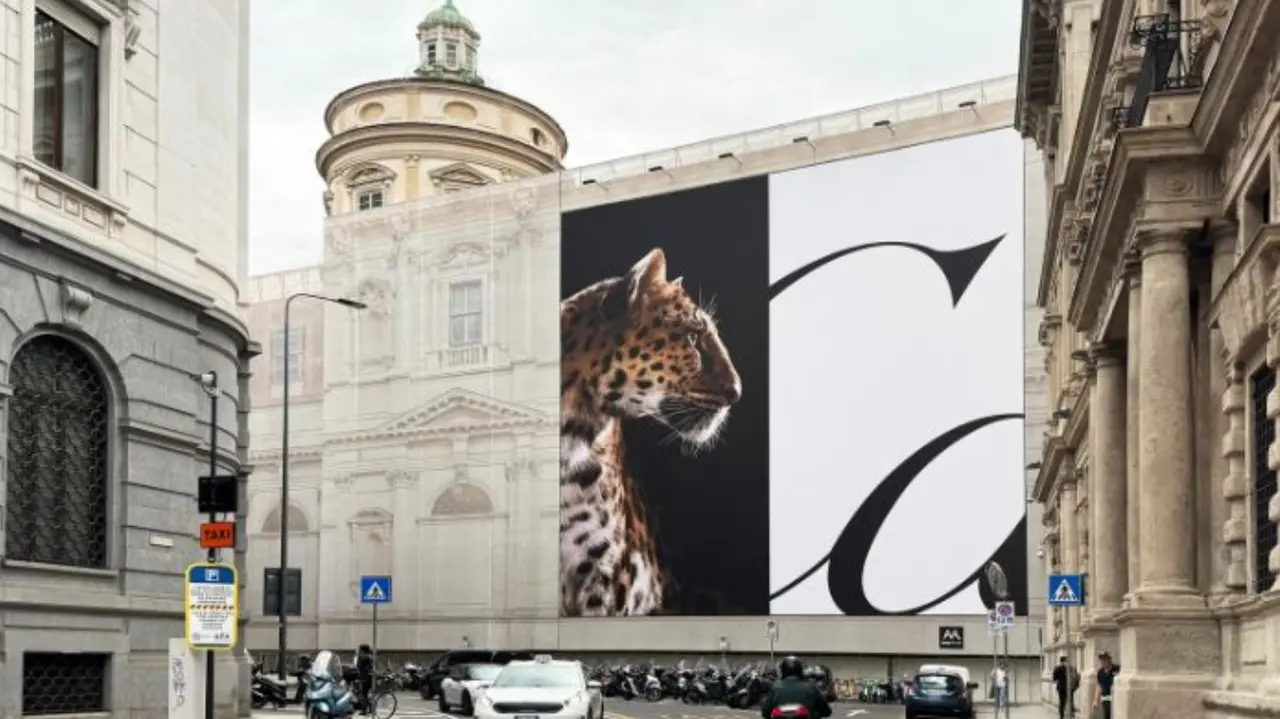 cartier  pantera