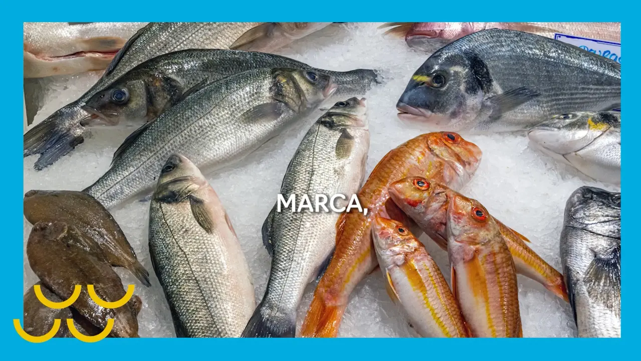 spot marca pez