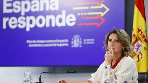 Foto de la  vicepresidenta tercera y ministra para la Transici&oacute;n Ecol&oacute;gica, Teresa Ribera