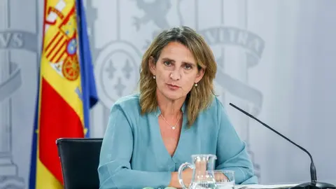 Imagen de Teresa Ribera