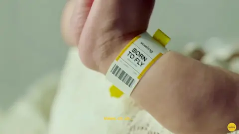 spot vueling
