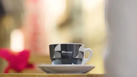 spot mocay