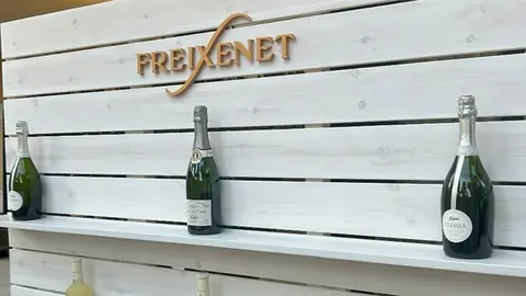 freixenet villla experience