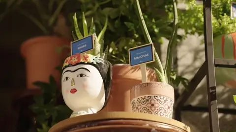guarder&iacute;a de plantas