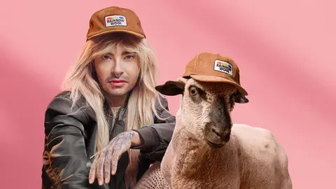 campa&ntilde;a ovejas