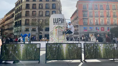 lupia madrid