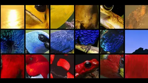bio colombia