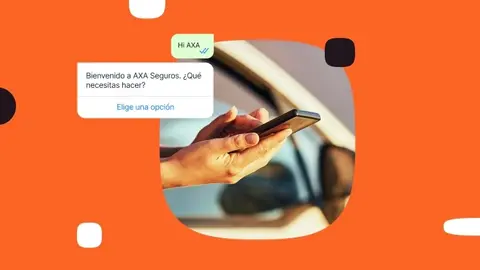 Infobip whatsapp nov 2024