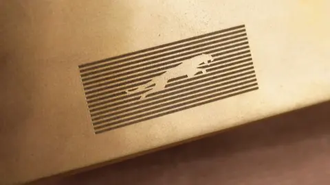 jaguar era 2024