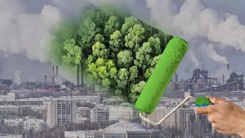 Greenwashing nov 2024