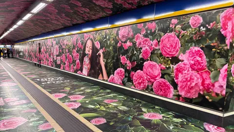 ROSAS METRO