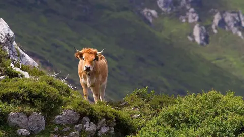 naturaleza