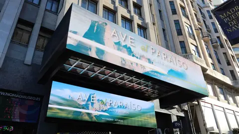 asturias gran v&iacute;a