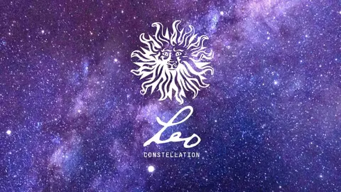 Leo 2025 publicis