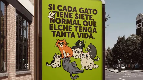 GATOS elche