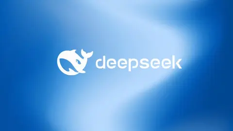 Deepsek 2025