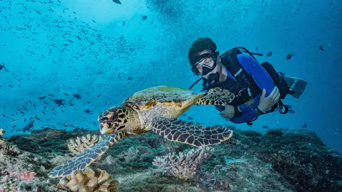 scuba buceo