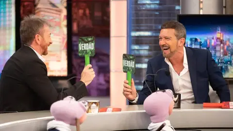 hormiguero