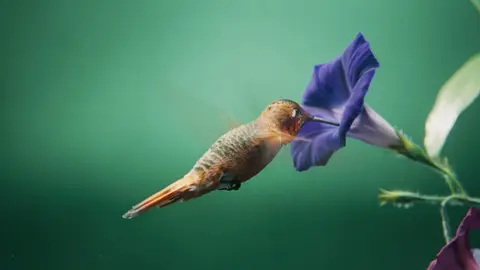spot skoda naturaleza