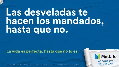 metlife m&eacute;xico