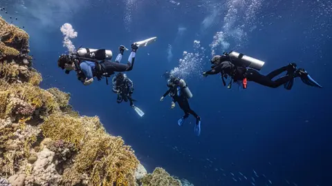 scuba finders