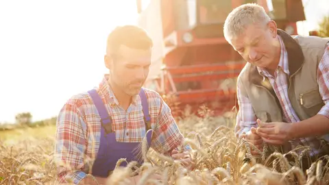 Agricultura