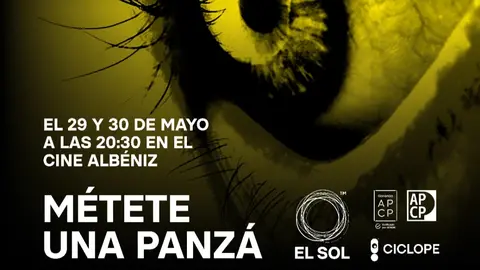 el sol panz&aacute;
