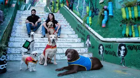 asesores perros