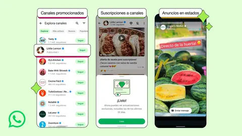 whatsapp  noveddes