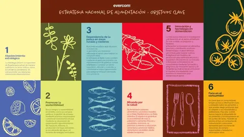 alimentaci&oacute;n evercom