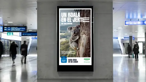 valla koala