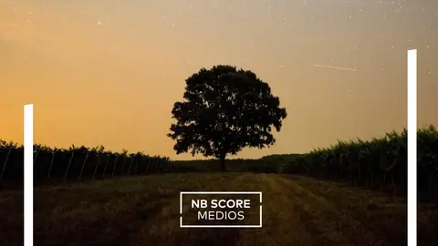 NB Score medios