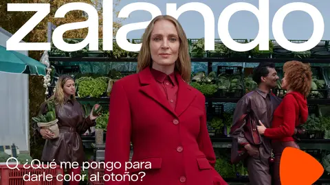 spot zalando