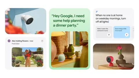 google domestic