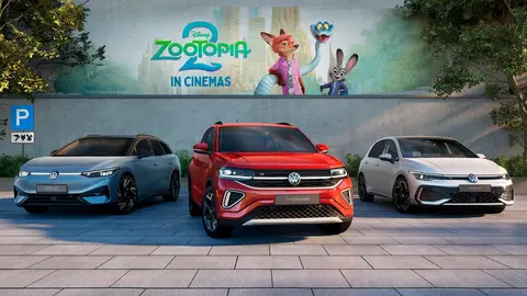 volkswagen zoo