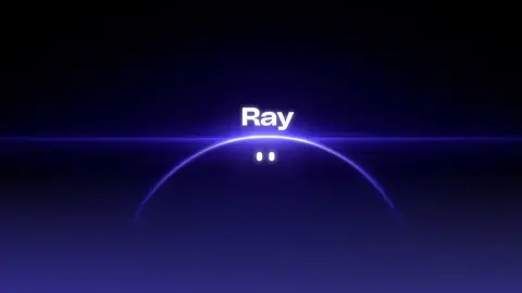 ray dailymotion