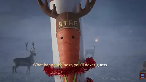kevin carrot  spot