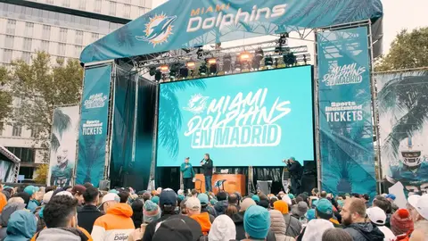 miami dolphins