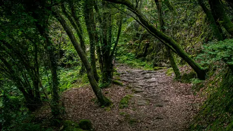 sendero galicia