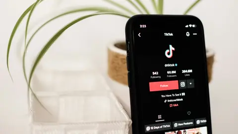 TikTok contenido