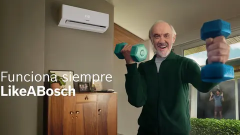 bosch spot