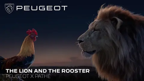 spot peugeot